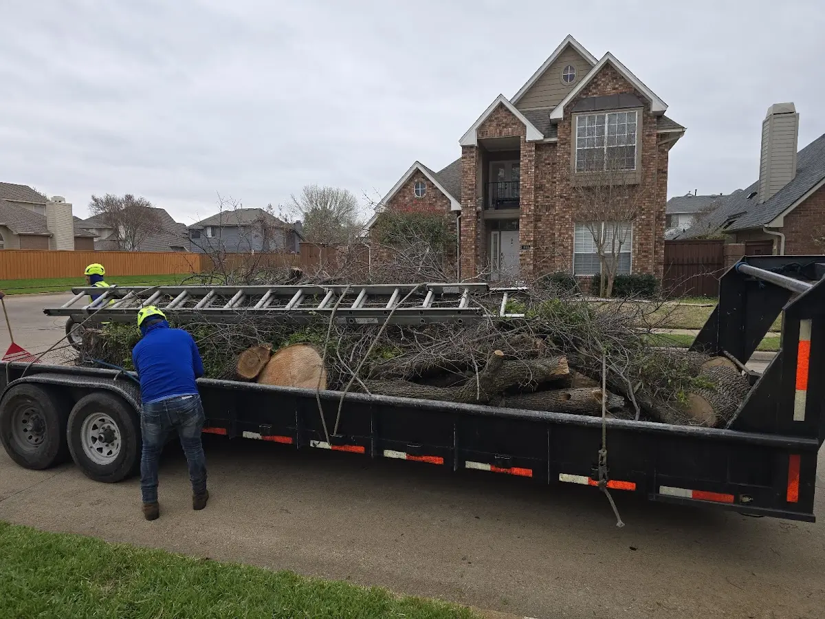 Expert Lot Clearing with proper safety equipment in Walker